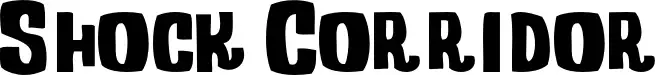 Shock Corridor