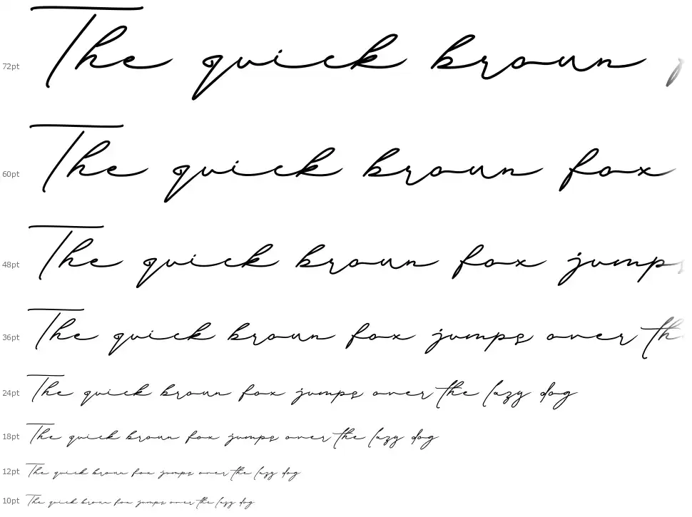 Signature Collectionfont waterfall