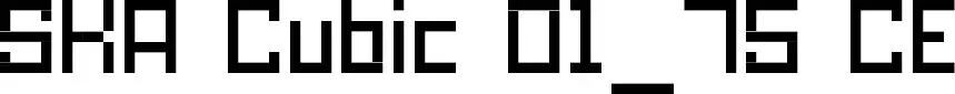 SKA Cubic 01_75 CE