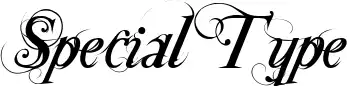 Special Type