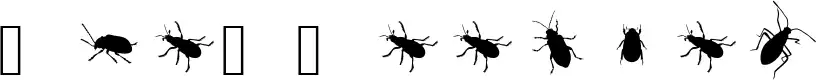 The Beetles