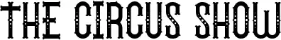 The Circus Show