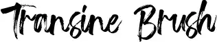 Transine Brush