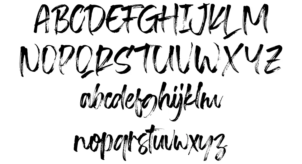 Transine Brushfont specimens