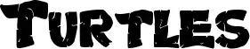 Turtles