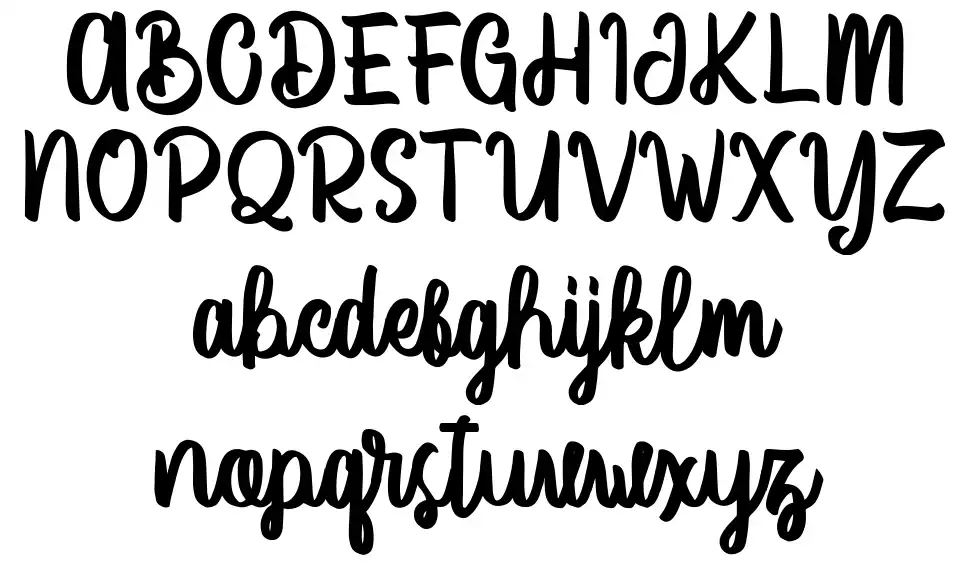 Vector Typefont specimens